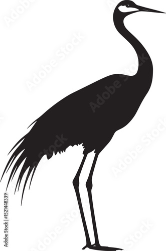 Crane poised body upright, long neck extended, legs straight, and wings folded in a full-length silhouette.