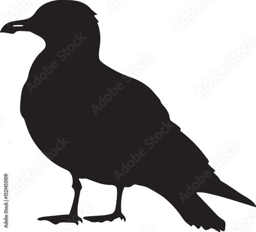 Seagull Resting Sitting on the ground or a surface with wings folded body relaxed. full length silhouette black vector illustration