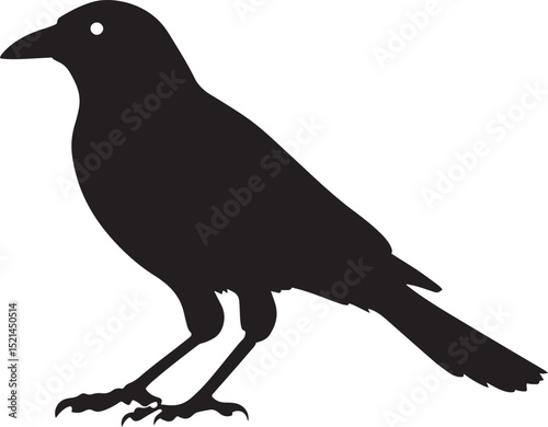 Crow Marching Calm pace, head held forward, body stable, tail flowing, full silhouette illustration.