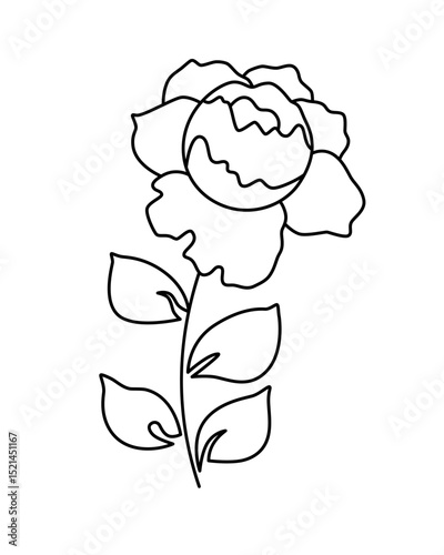 Rose flower symbol with stem, leaves, blooming bud, hand drawn outline with black thin marker as logo, icon on transparent checkerboard background. Vector illustration for florist shop, packaging.
