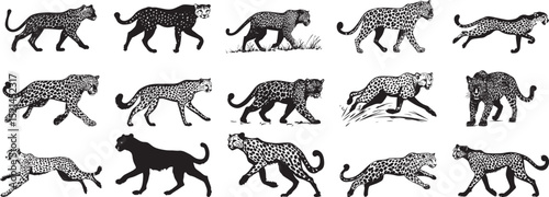 Cheetah Turning Body angled sharply while sprinting or changing direction. full length silhouette black vector illustration
