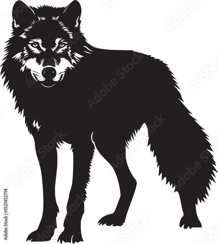 Wolf Hunting Body low, ears forward, eyes focused, tail in alignment. full length silhouette black vector illustration