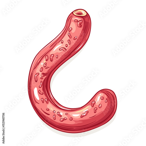 Pink Cartoon Worm Isolated on White Backdrop Vector Art