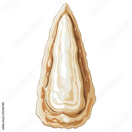 Isolated Oyster Shell Showing Creamy Interior with Beige Texture in a Minimalist Style