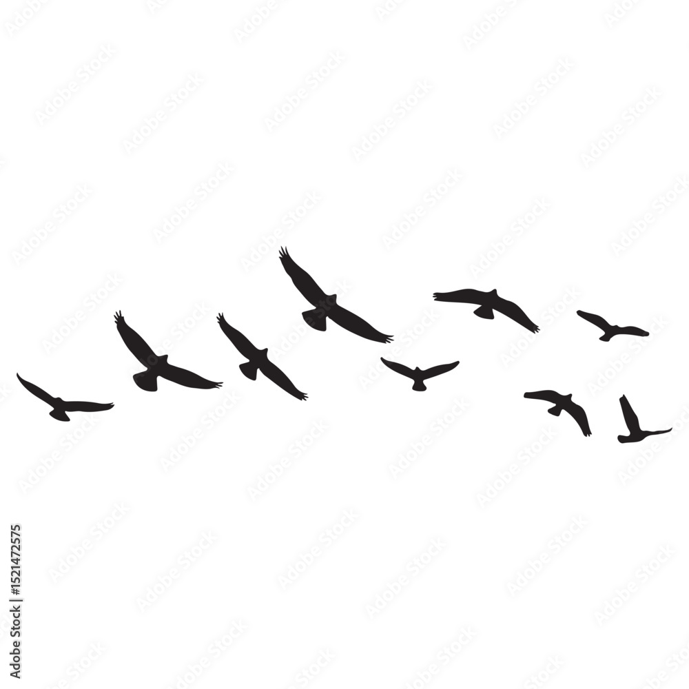 Fototapeta premium Silhouettes of Flying Birds on White Background vector