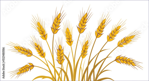Golden Wheat Field Graphic Elegant Harvest Illustration On White Background