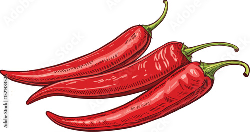 Red Chili Pepper on White Background Vector Illustration
