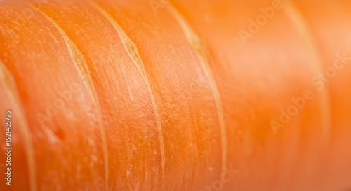 Detailed Texture Of Fresh Orange Carrot Root Vegetable In Studio Shot