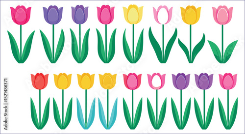 Colorful Cartoon Tulips Vector Illustration Isolated On White