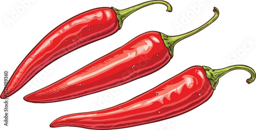 Red Chili on White Background vector design