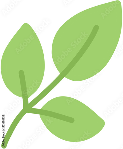 green leaf isolated on white background