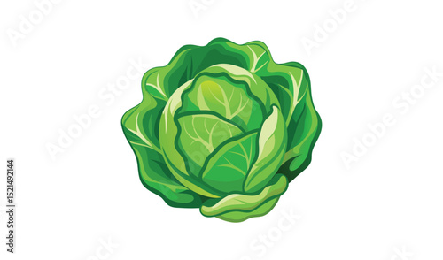 Fresh green cabbage isolated on white background