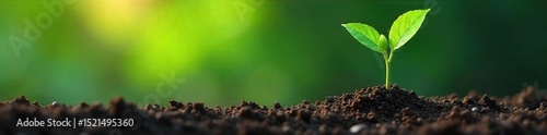 A stylized depiction of a seed sprouting into a thriving tree, symbolizing growth, adaptation, and the journey of a business from inception to success , development, enterprise