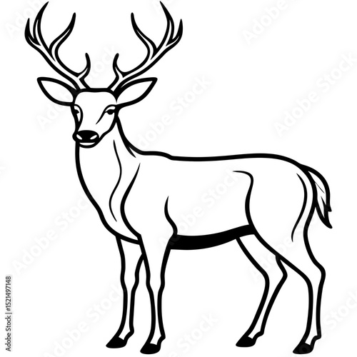 Deer vector silhouette illustration of a wild antlered mammal