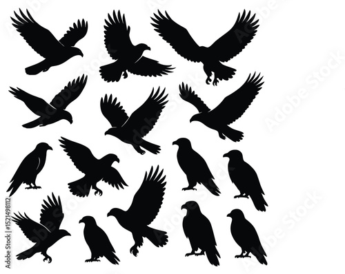 Flying Crow Silhouettes Vector Set – Raven Bird Clipart Collection