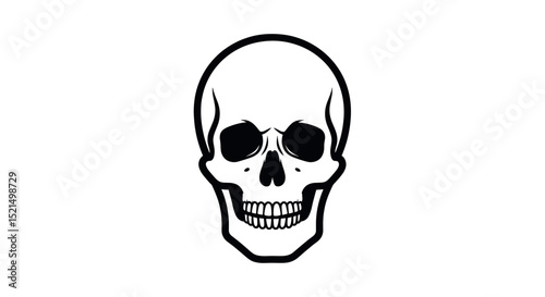 Anatomical Illustration of a Human Skull in Detailed Perspective on a transparent Background