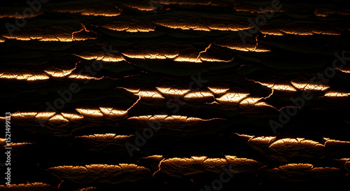 Abstract Golden Texture Of Cracked Earth Surfaces Illuminated From Behind