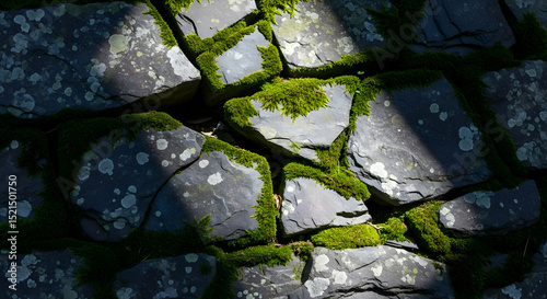 Moss Covered Stone Wall Background Texture Displaying Unique Patterns
