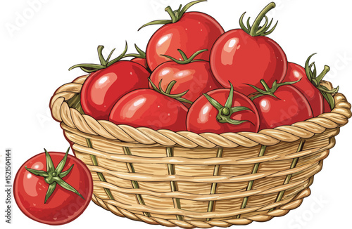 Tomatoes in Basket on White Background vector Design