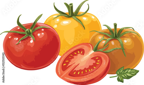 Red Tomato Vector Illustration on White Background