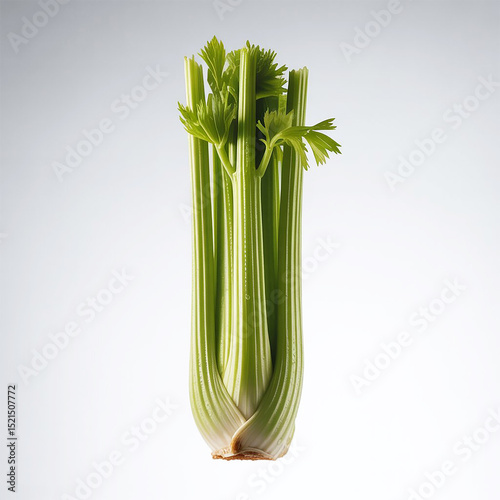 Fresh green celery stalk on a clean white background highlighting healthy food and nutrition