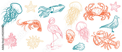 Marine animals - jellyfish, crab, lobster, seagull, squid, shrimp, starfish, coral in black brush stroke texture isolated on white. Hand drawn vector sketch illustration in vintage charcoal ink.