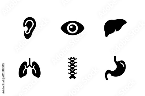 human anatomy, body parts, medical icons, organ silhouette, brain icon, lungs, skeleton, rib cage, eye icon, ear icon, human organs, black icons, health care symbols, medical vector, internal organs, 