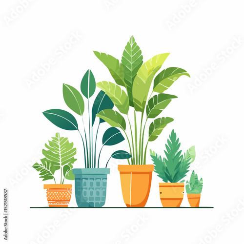 Decorative green houseplants in pots and planters, natural home decor and urban jungle