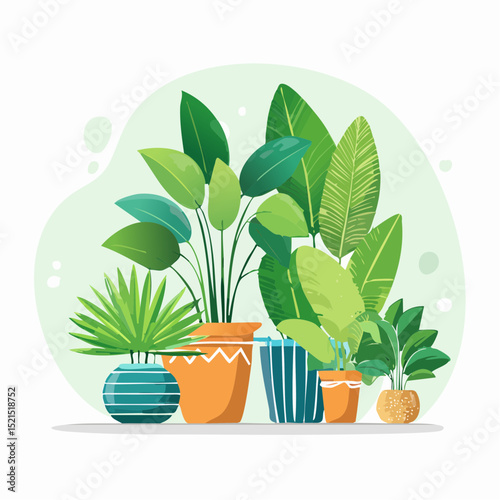 Decorative green houseplants in pots and planters, natural home decor and urban jungle