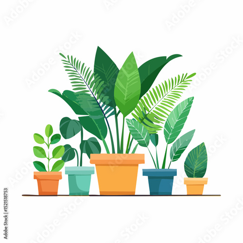 Decorative green houseplants in pots and planters, natural home decor and urban jungle