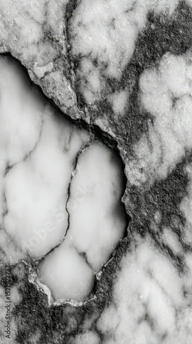 Marble surface with unique patterns and textures showcasing a blend of black and white elements in a natural setting
