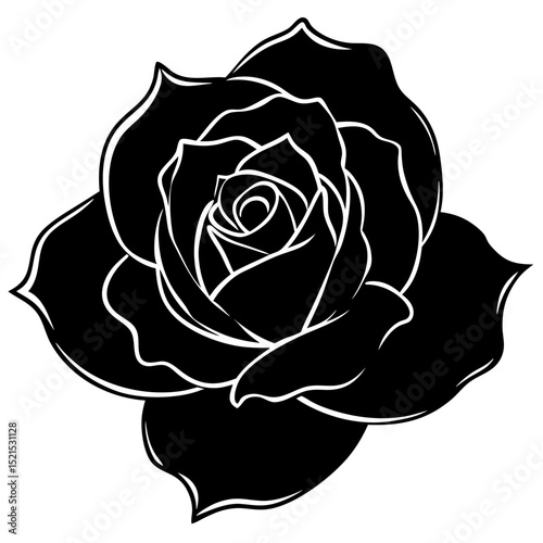 White rose floral illustration on a blue background and a rose on white, perfect for seamless patterns, vintage designs, or decorative elements