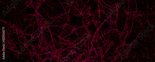 Abstract Network in Crimson: A mesmerizing abstract design of interconnected lines, resembling a complex network in shades of crimson, against a dark backdrop. Design