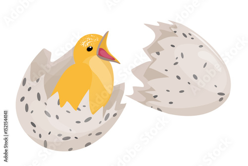 Yellow chick sitting in broken shell. Broken light-colored egg in speckles. Vector isolated texture illustration. Small hungry baby bird with wide open beak