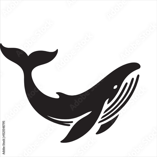 Blue Whale