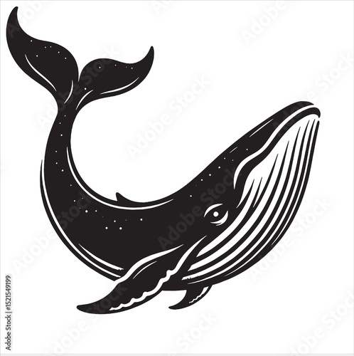 Blue Whale