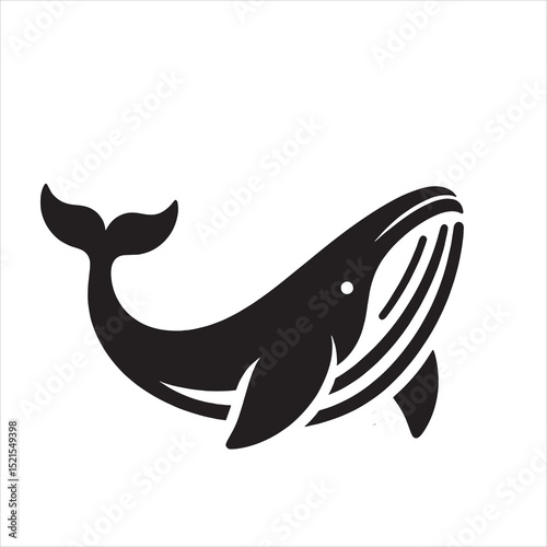 Blue Whale