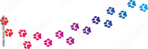 Foot trail print of Dog. Dog walk foot print. Black cat Paw Prints. Black Paw print foot trail of animal on transparent background. 
