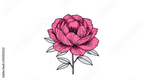 Handcrafted peony flower bunch illustration
