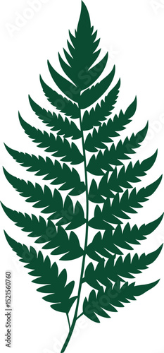 Fern leaves with tropical texture silhouette illustration 