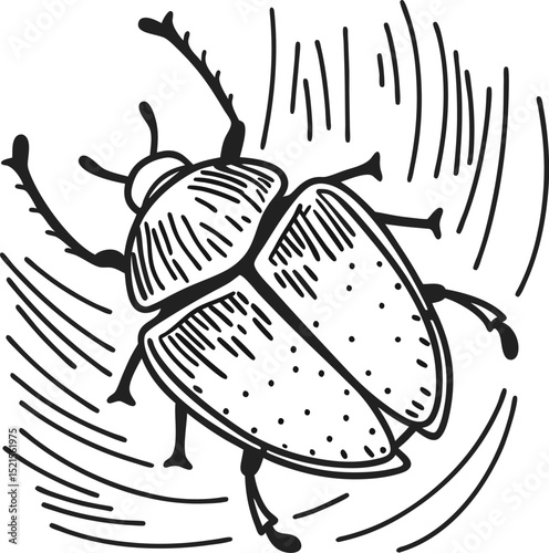 Detailed beetle illustration intricate insect sketch with dynamic lines and textures
