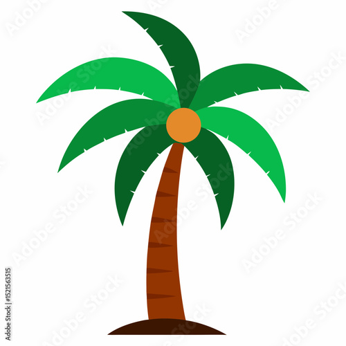palm tree vector illustration