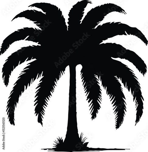 Minimalist Palm Tree Silhouette Bold Black and White Illustration