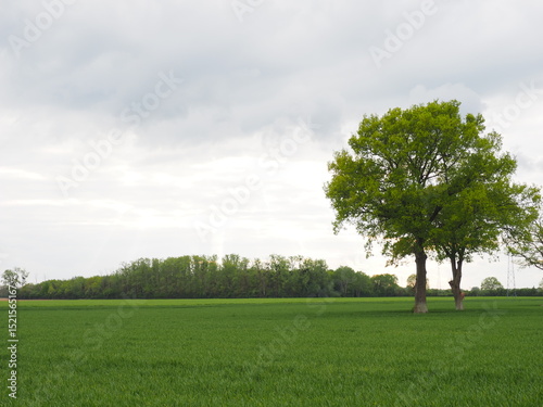 Campagne de France