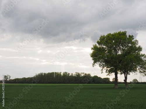 La campagne française