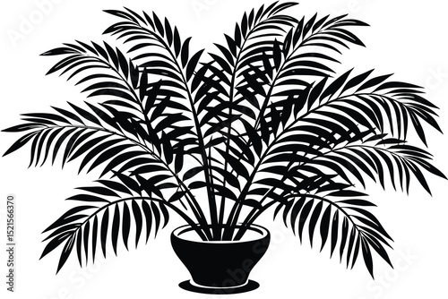 Black and white illustration of a potted palm plant with many leaves