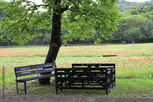 公園のベンチ