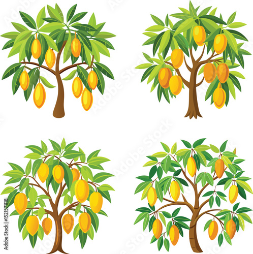 set of vector trees