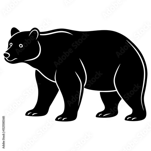 Vector cartoon illustration of wild black and white bears, rhinos, and other safari animals