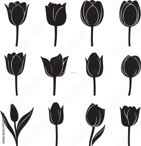 Black flower vector set feature abstract floral design silhouettes, and geometric patterns. Ideal for decoration, logos, and design projects. Includes minimalist botanical elements for creative illust